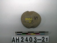 藏品(砝碼型石網墜)的圖片